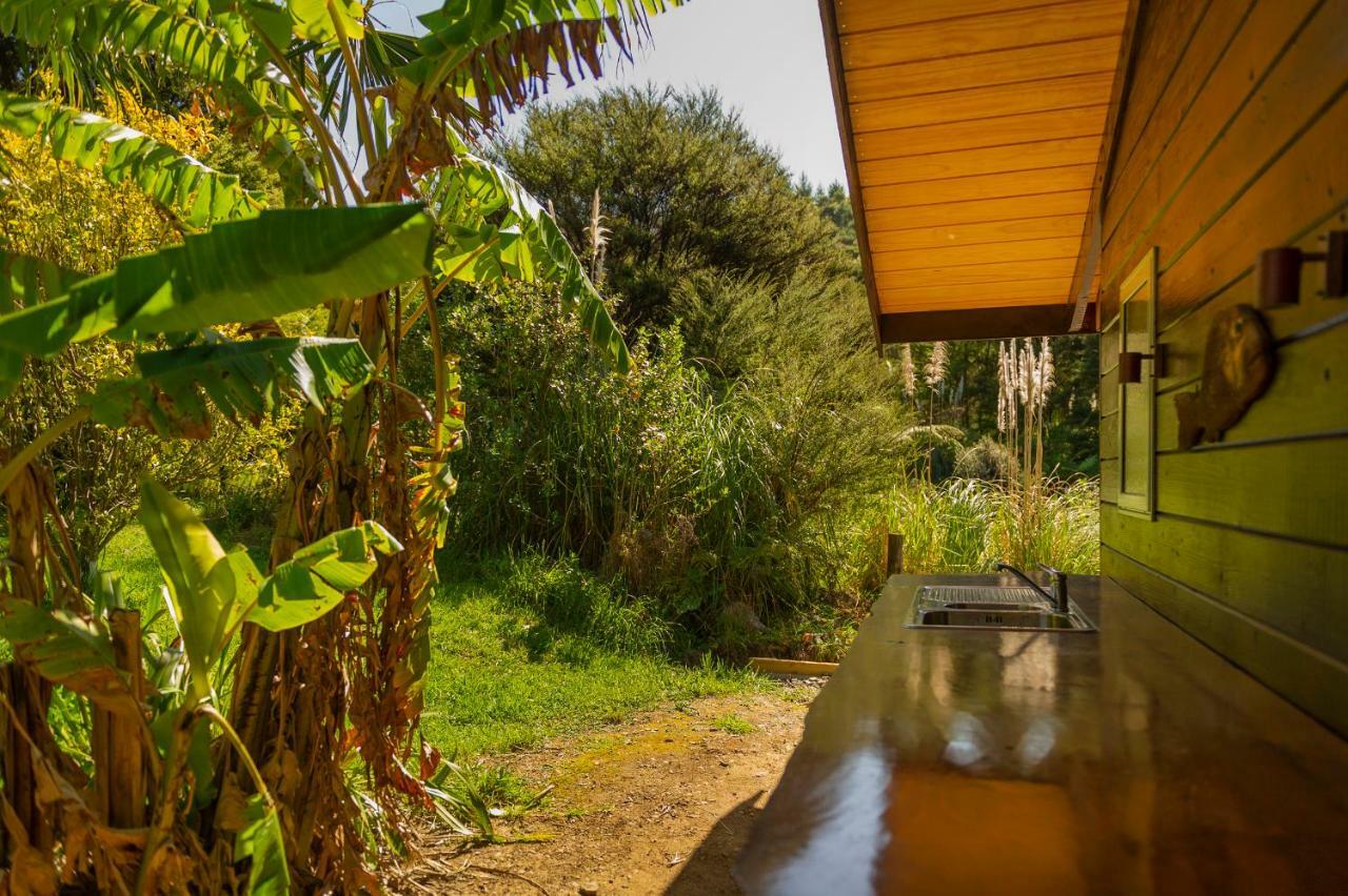 Kuaotunu Chalets Dış mekan fotoğraf